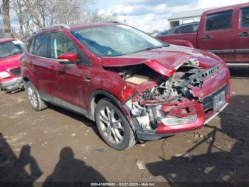  Salvage Ford Escape