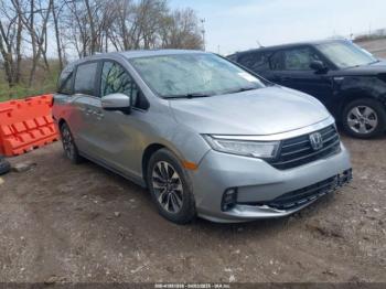  Salvage Honda Odyssey