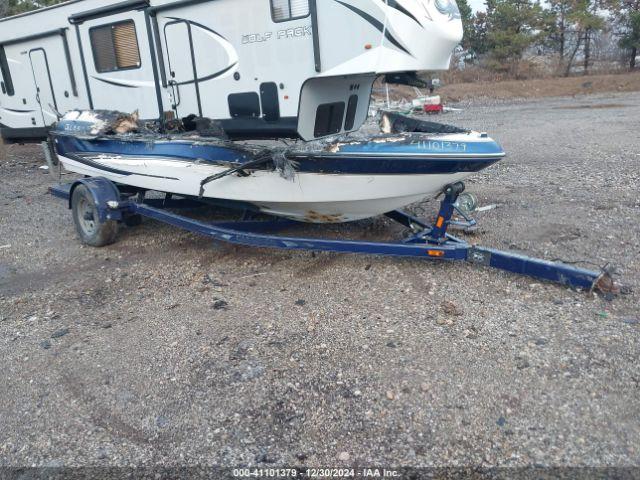  Salvage Glastron Other