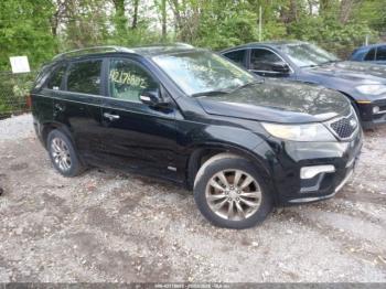  Salvage Kia Sorento