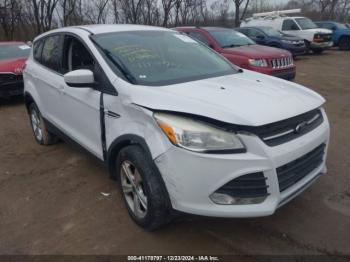  Salvage Ford Escape