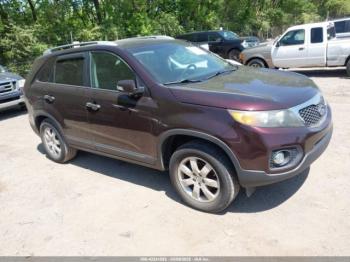  Salvage Kia Sorento