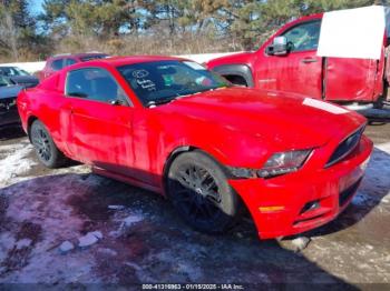  Salvage Ford Mustang