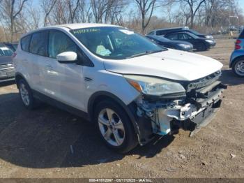  Salvage Ford Escape
