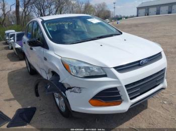  Salvage Ford Escape