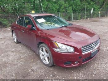  Salvage Nissan Maxima