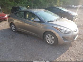  Salvage Hyundai ELANTRA