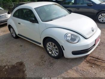  Salvage Volkswagen Beetle