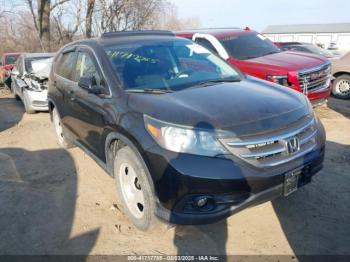  Salvage Honda CR-V