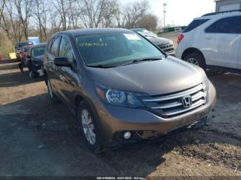  Salvage Honda CR-V