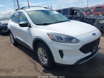  Salvage Ford Escape