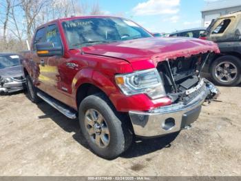  Salvage Ford F-150