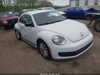  Salvage Volkswagen Beetle