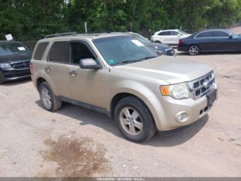  Salvage Ford Escape