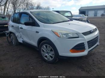  Salvage Ford Escape