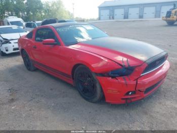  Salvage Ford Mustang