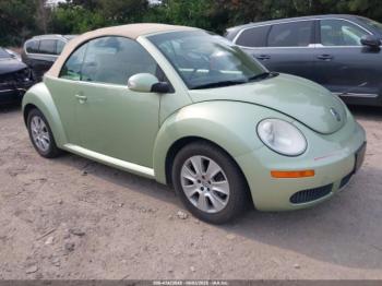  Salvage Volkswagen Beetle