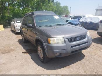  Salvage Ford Escape