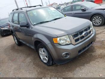  Salvage Ford Escape