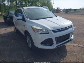  Salvage Ford Escape