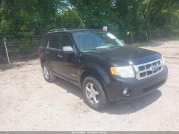  Salvage Ford Escape