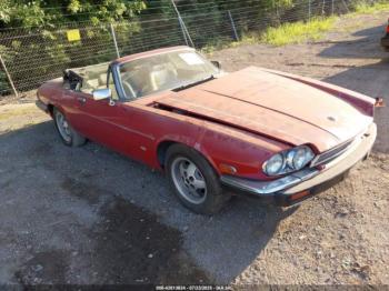  Salvage Jaguar Xjs