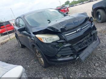  Salvage Ford Escape