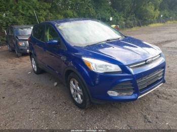  Salvage Ford Escape