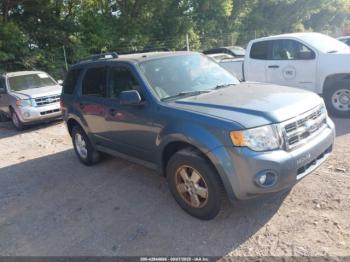 Salvage Ford Escape