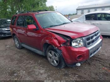  Salvage Ford Escape