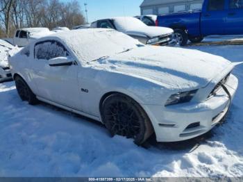  Salvage Ford Mustang