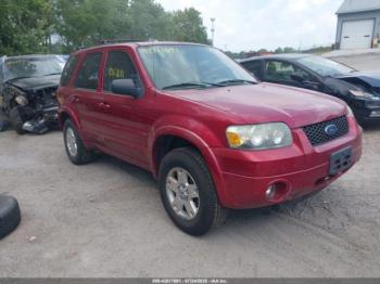 Salvage Ford Escape
