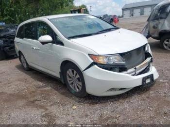  Salvage Honda Odyssey