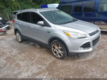  Salvage Ford Escape