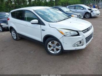  Salvage Ford Escape