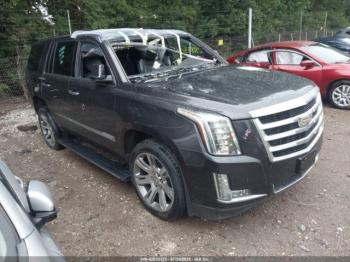  Salvage Cadillac Escalade