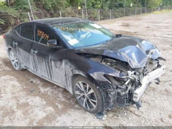  Salvage Nissan Maxima