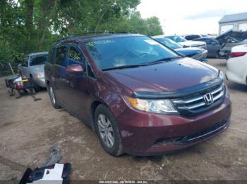  Salvage Honda Odyssey