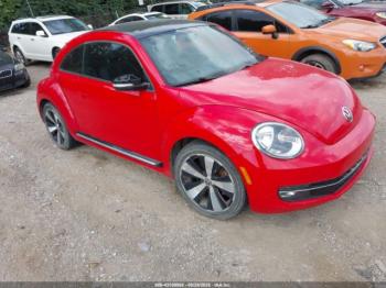  Salvage Volkswagen Beetle