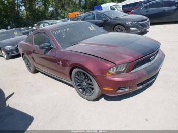  Salvage Ford Mustang