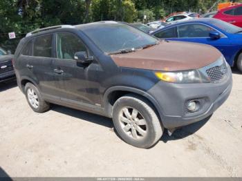  Salvage Kia Sorento
