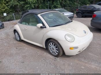  Salvage Volkswagen Beetle