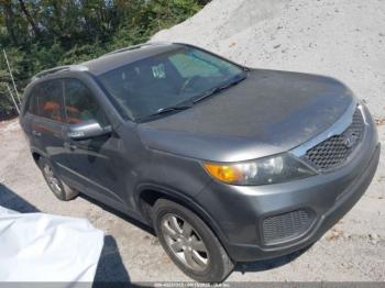  Salvage Kia Sorento