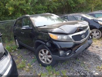  Salvage Kia Sorento