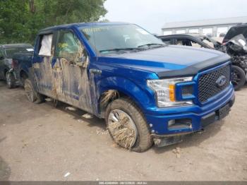  Salvage Ford F-150