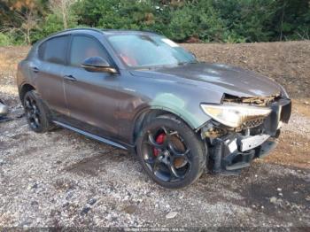  Salvage Alfa Romeo Stelvio