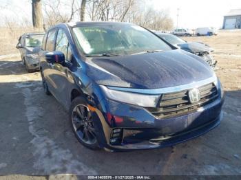  Salvage Honda Odyssey