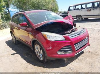  Salvage Ford Escape