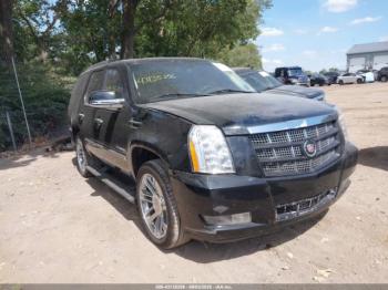  Salvage Cadillac Escalade