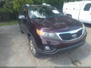  Salvage Kia Sorento